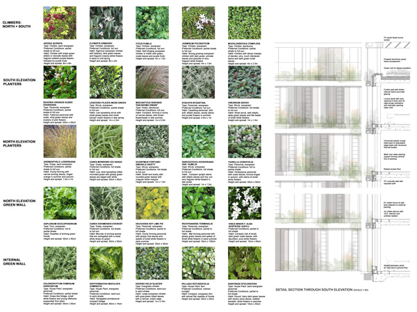 Table of planting images and detail sectional elevation of the design