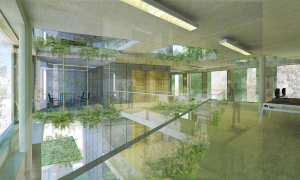 Supergreen Biophilic Workplace interior view