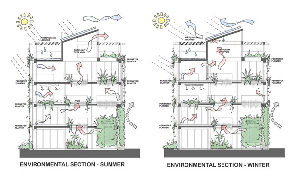 Supergreen biophilic Workplace environmental sections and diagrams