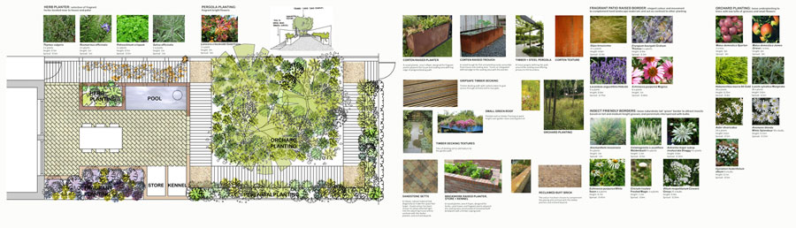Small garden design drawings and images of plants and materials